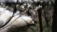 Yunan güvenlik güçleri gaz fişeklerini direkt sığınmacıları hedef alarak atıyor