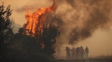 Yunanistan'da orman yangını riskine karşı uyarı yapıldı
