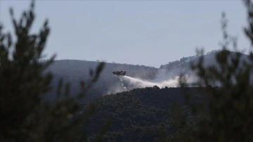 Yunanistan'da orman yangınlarına müdahale ediliyor