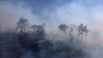 Yunanistan'da orman yangınlarına müdahaleler sürüyor