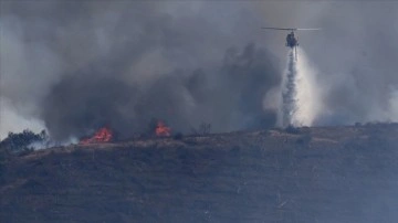 Yunanistan'da son 24 saatte çıkan 48 orman yangınından 47'si kontrol altına alındı
