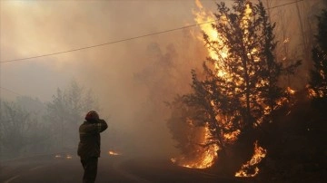 Yunanistan'dan, yangın söndürme çalışmalarına destek veren ülkelere teşekkür