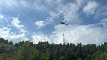 Zonguldak'ta ormanlık alanda çıkan yangın kontrol altına alındı