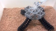 Zorlu yüzeylerde yürüyebilen robot geliştirildi