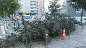 Kırmızı ışıkta beklemek hayatlarını kurtardı