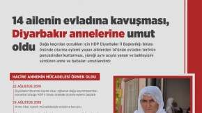 14 ailenin evladına kavuşması, Diyarbakır annelerine umut oldu