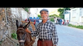 Eşeğinden cezayı yedi, eşekle sevindirildi