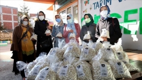 Kadın çiftçilerin yetiştirdiği 8 ton çoban fasulyesini ORTAR satın aldı