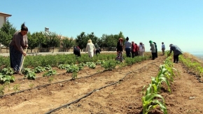 Kriz dönemlerini &#039;hobi bahçesi&#039; ile atlatıyorlar