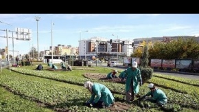 Şehrin yeşiline kadın eli değdi