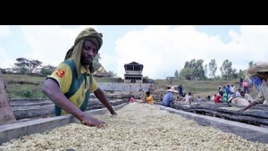 &quot;Starbucks Coffee” içerken bunu da düşünün!