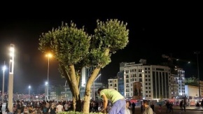 Taksim’de &quot;dev saksılar”a ağaçlar dikildi